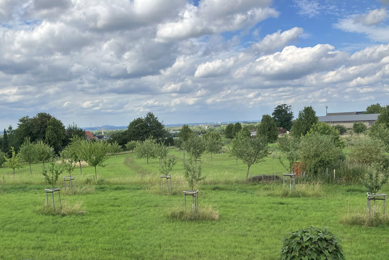600 pixels wide image